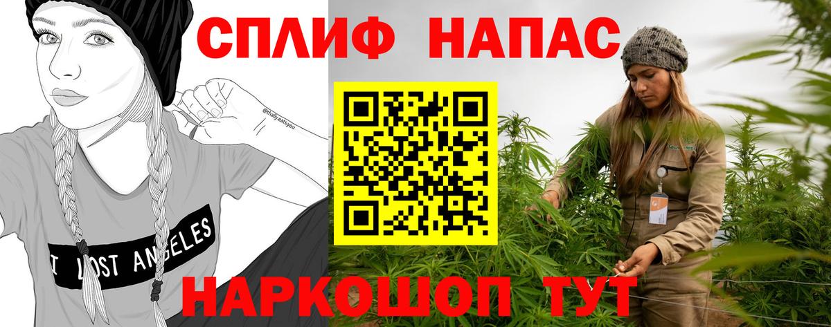 Конопля план Сланцы