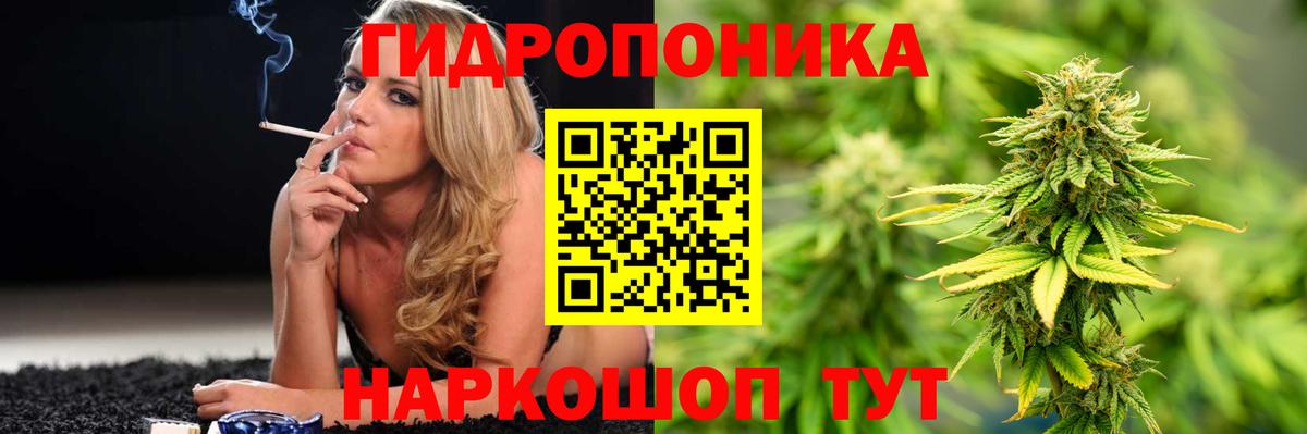 Канабис ГИДРОПОН  Вход с VPN  Шишки марихуана THC 21%  Сланцы 